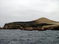 Les îles Ballestas, connues comme les ''Galapagos du Pauvre''