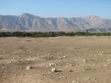 A Chauchilla, de nombreux ossements jonchent le sable du désert