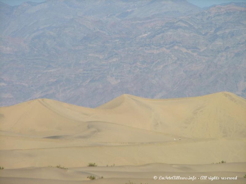 La Death Valley est decidement bien surprenante !