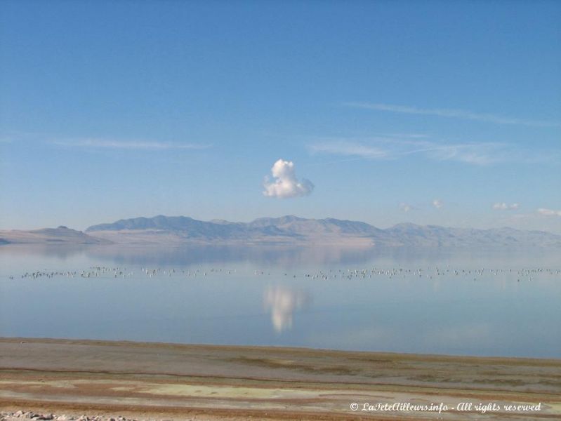 Le Great Salt Lake depuis le pont reliant Antelope Island au continent
