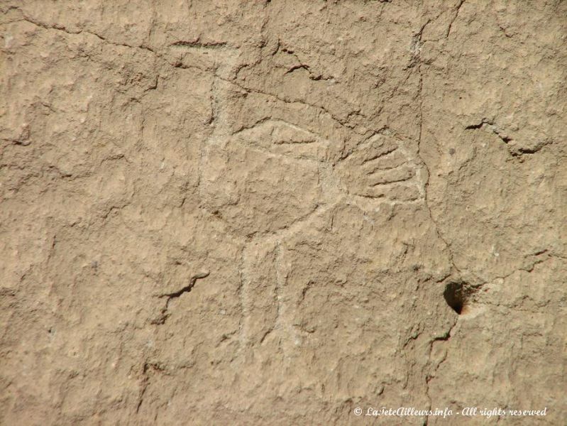 Un petroglyphe representant apparemment une poule ou un didon