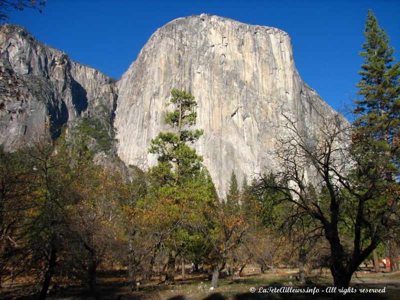 El Capitan, vertigineuse falaise du Yosemite National Park