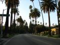 Beverly Hills, ses palmiers et ses maisons de luxe