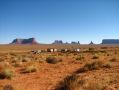De nombreux indiens Navajos vivent encore dans la Monument Valley