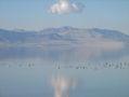 Le Grand Lac Sale doit son nom a sa teneur en sel, 6 fois celle de la mer !