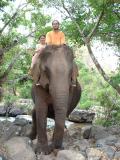 Attention ! O'Live prend un cours de conduite d'éléphant !